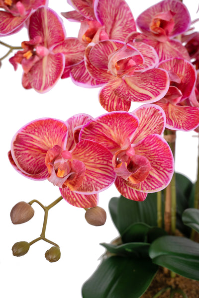 Orhidee artificiala cyclame cu aspect natural H66 cm cu 9 tulpini