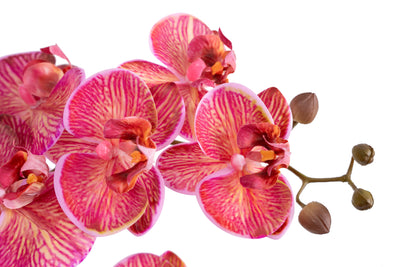 Orhidee artificiala cyclame cu aspect natural H66 cm cu 9 tulpini