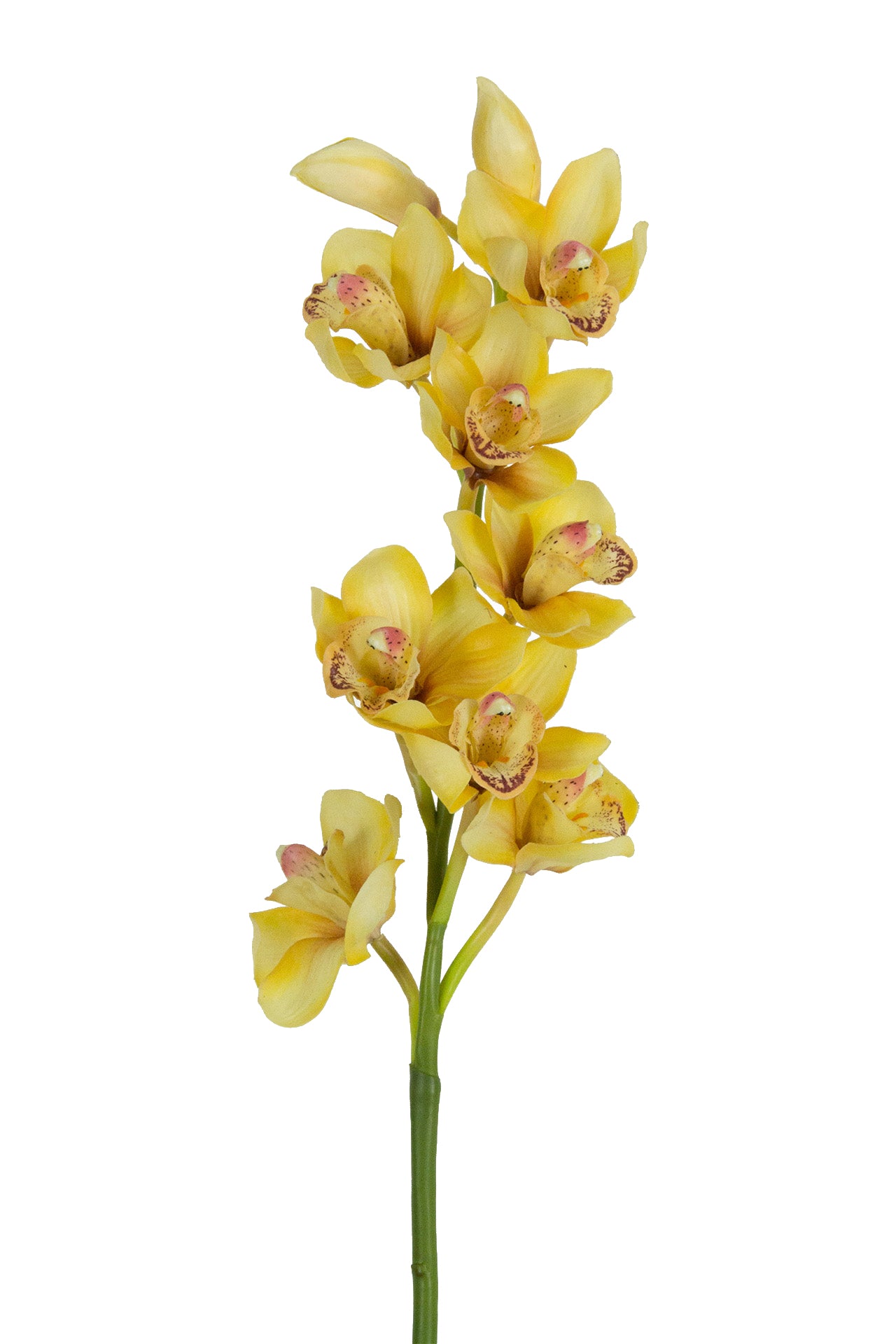 Orhidee artificiala Cymbidium galben H90 cm