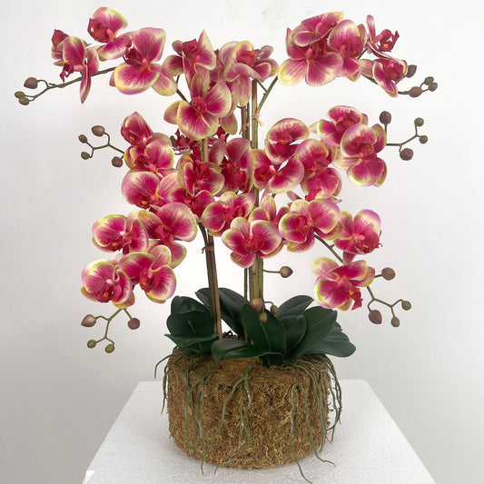 Orhidee artificiala fuchsia cu verde cu aspect natural H66 cm cu 9 tulpini