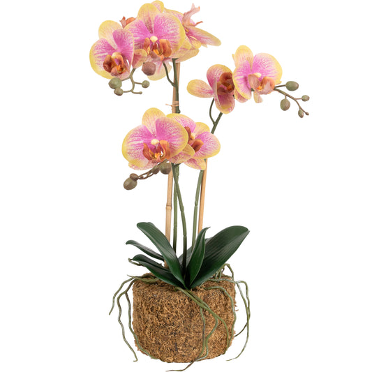 Orhidee artificiala galben cu roz cu aspect natural H53 cm cu 3 tulpini