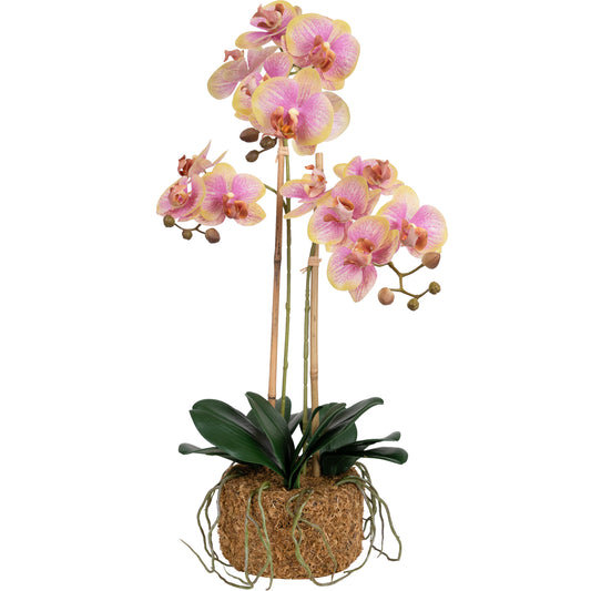 Orhidee artificiala galben cu roz cu aspect natural H64 cm cu 2 tulpini