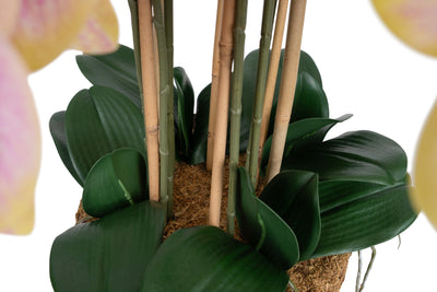 Orhidee artificiala galben cu roz cu aspect natural H85 cm cu 8 tulpini