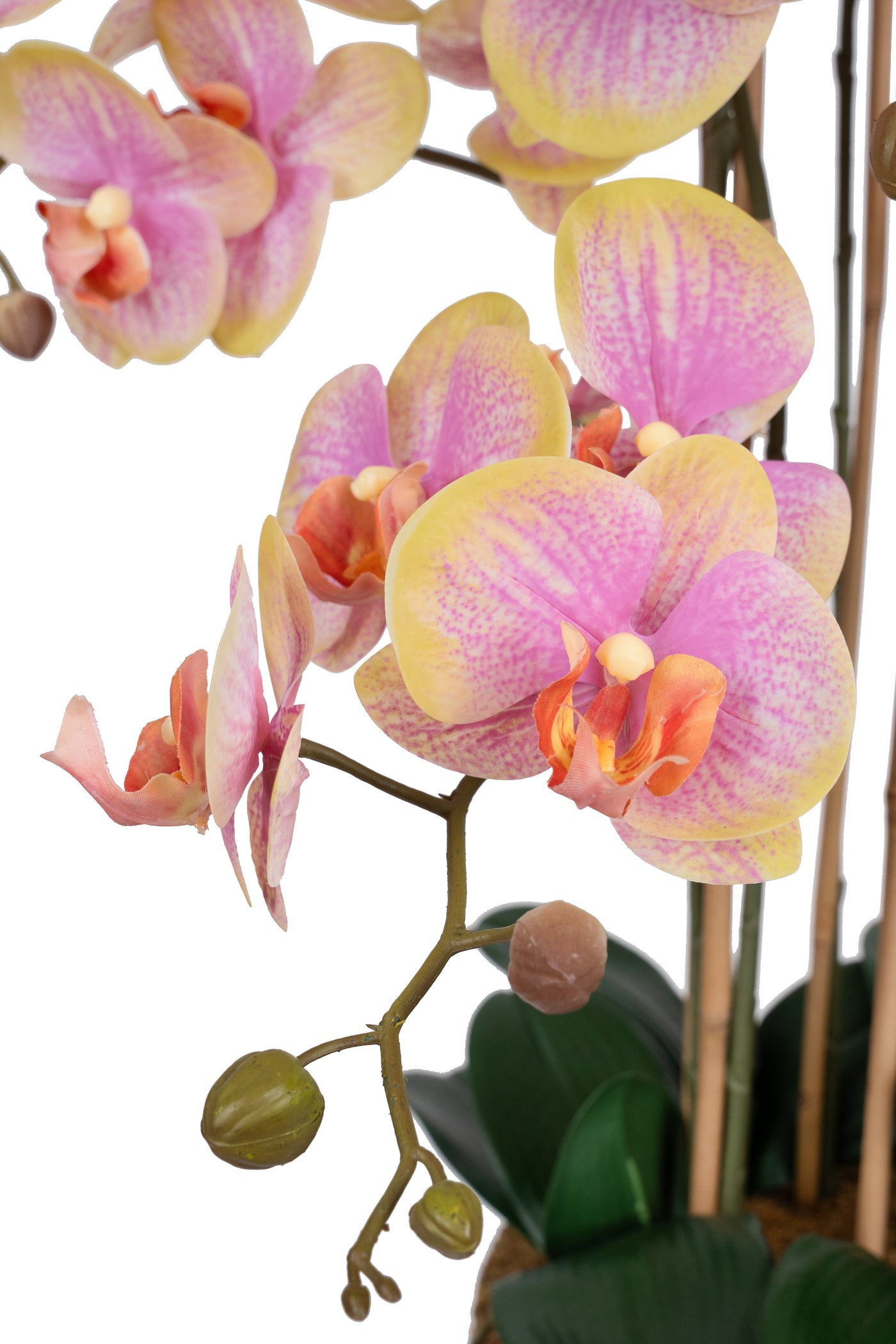 Orhidee artificiala galben cu roz cu aspect natural H85 cm cu 8 tulpini