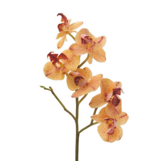 Orhidee artificiala galben-piersica Phalaenopsis D6xH50 cm HO