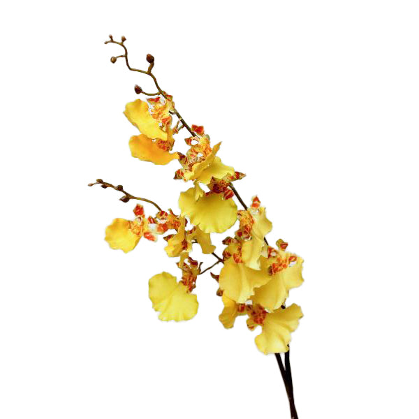 Orhidee artificiala galbena Oncidium H90 cm HO