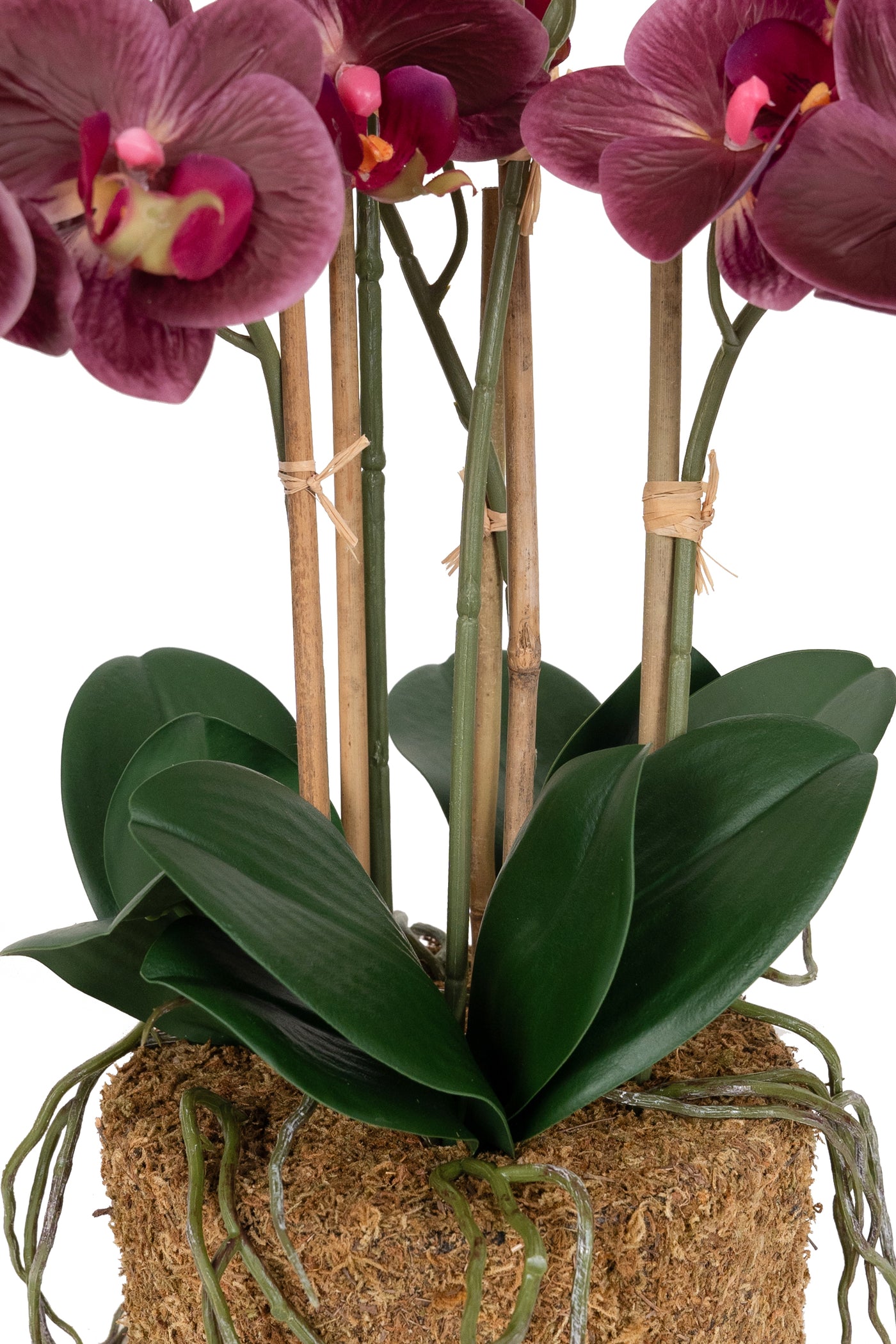 Orhidee artificiala grena cu aspect natural H52 cm cu 5 tulpini