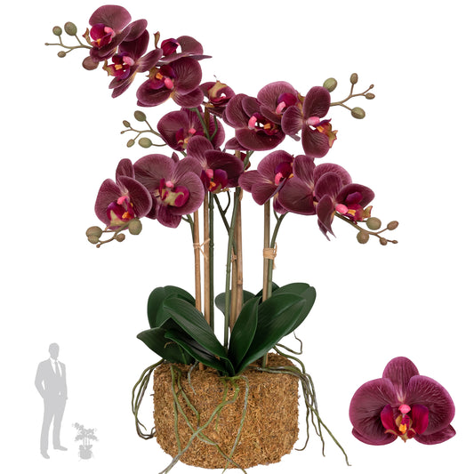 Orhidee artificiala grena cu aspect natural H52 cm cu 5 tulpini