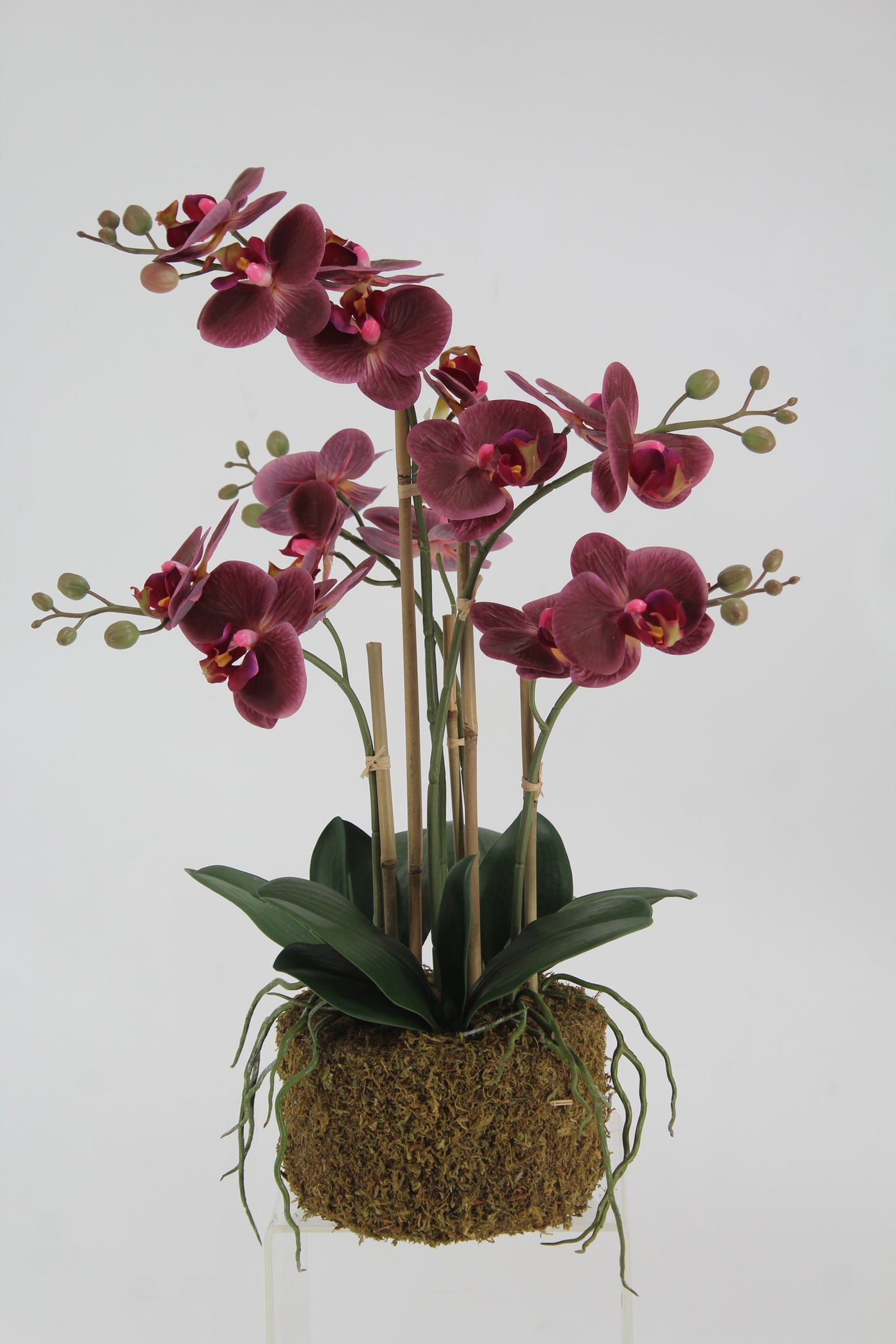 Orhidee artificiala grena cu aspect natural H52 cm cu 5 tulpini