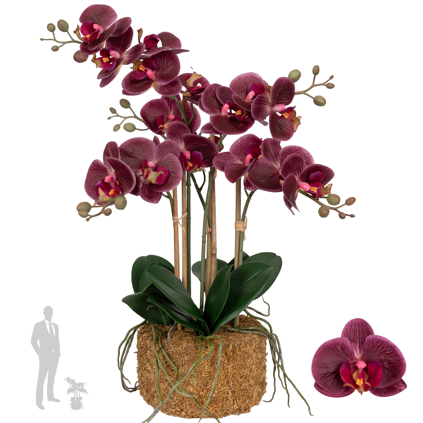 Orhidee artificiala grena cu aspect natural H52 cm cu 5 tulpini