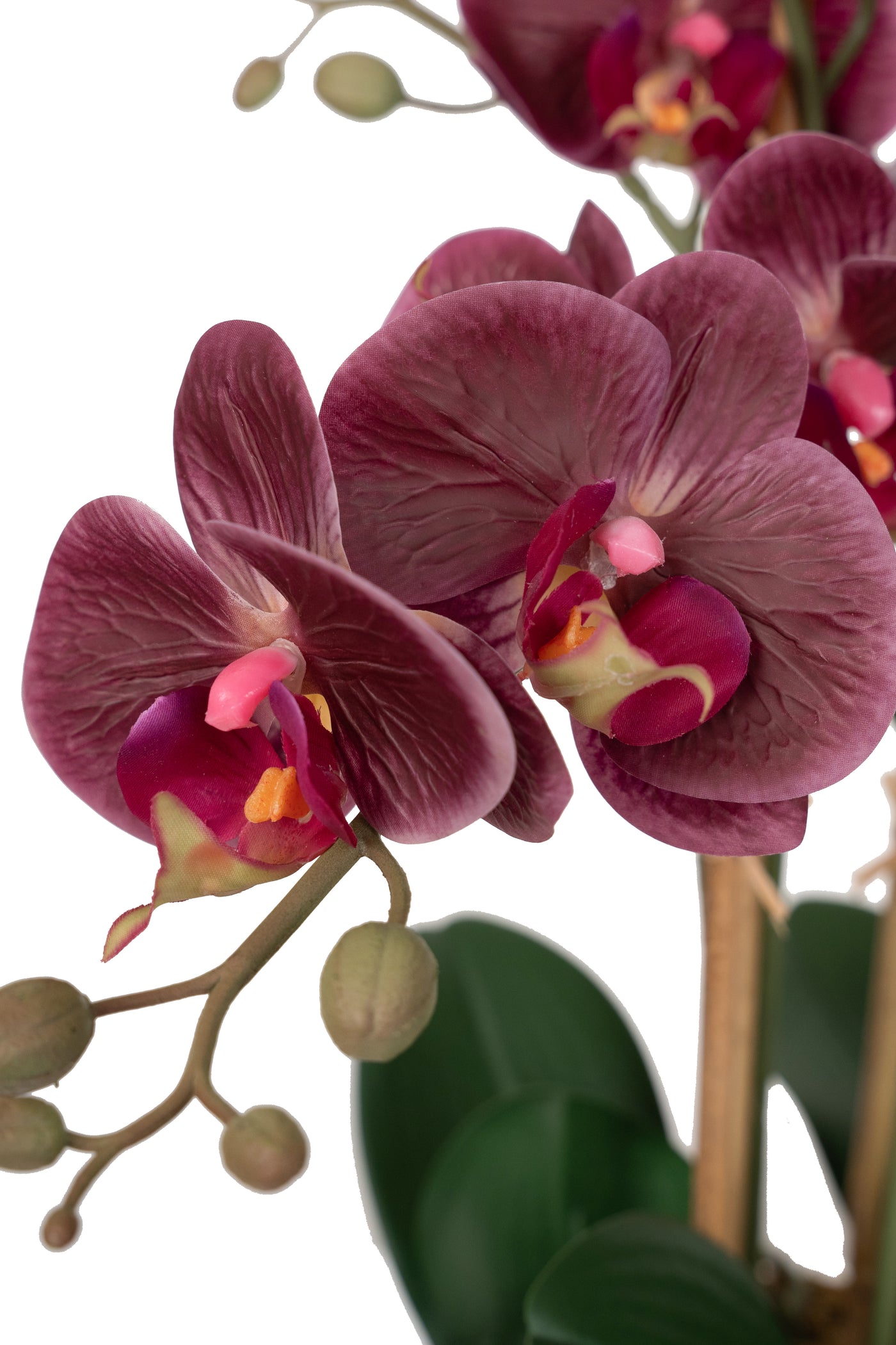 Orhidee artificiala grena cu aspect natural H52 cm cu 5 tulpini