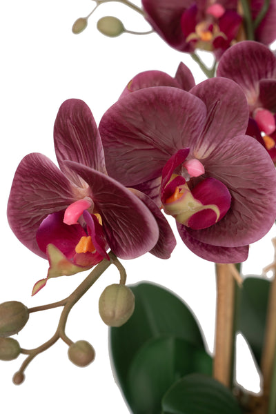 Orhidee artificiala grena cu aspect natural H52 cm cu 5 tulpini