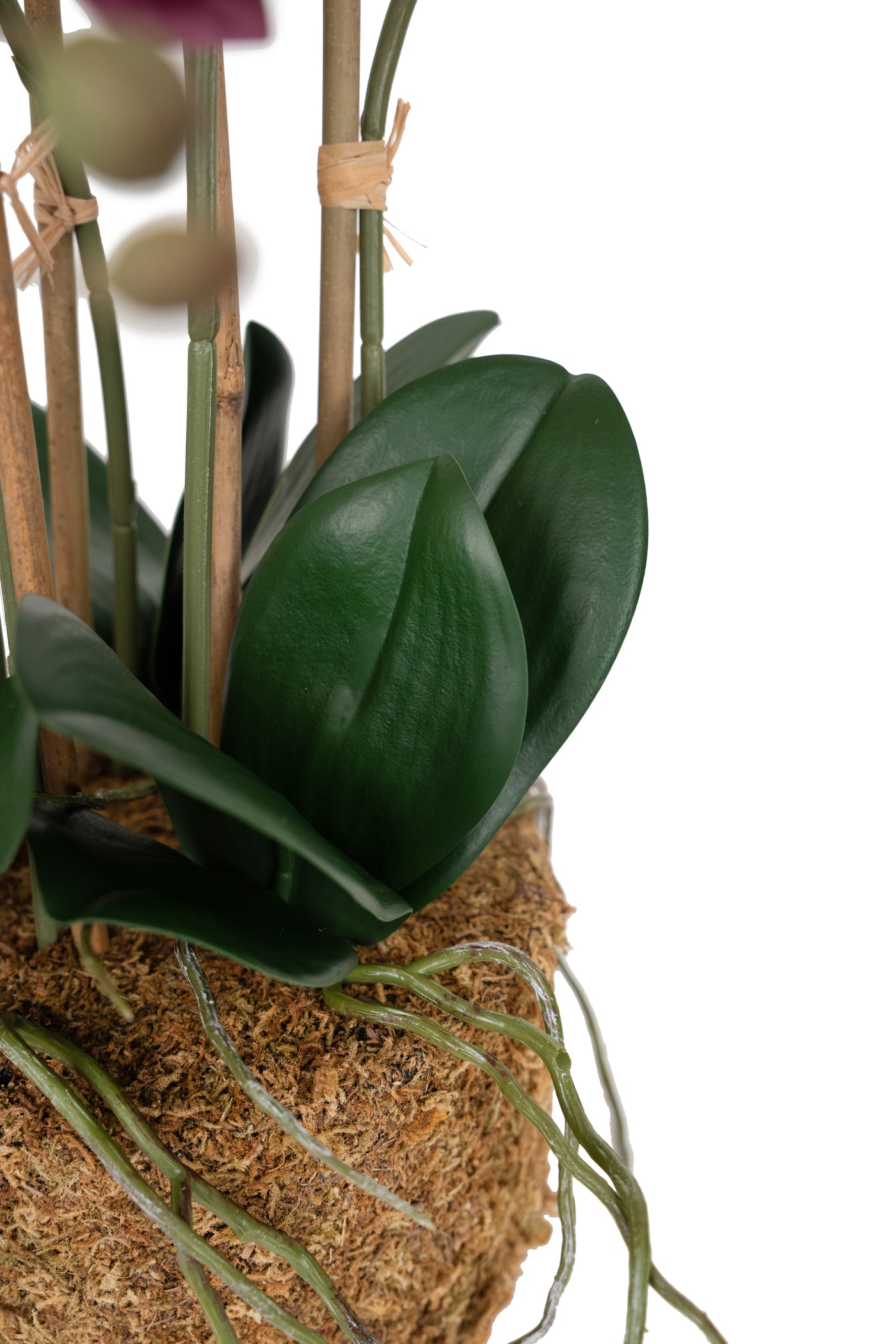 Orhidee artificiala grena cu aspect natural H52 cm cu 5 tulpini