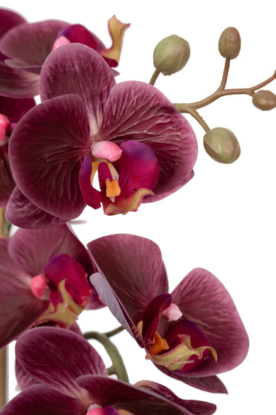 Orhidee artificiala grena cu aspect natural H52 cm cu 5 tulpini