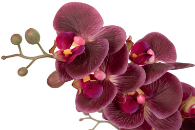 Orhidee artificiala grena cu aspect natural H52 cm cu 5 tulpini