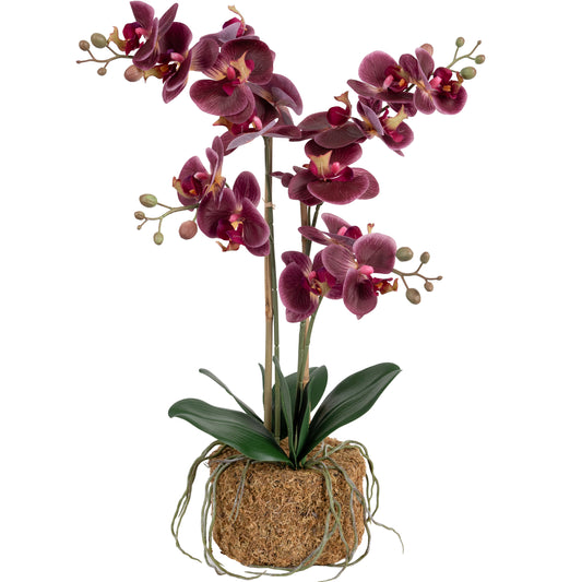 Orhidee artificiala grena cu aspect natural H59 cm cu 3 tulpini