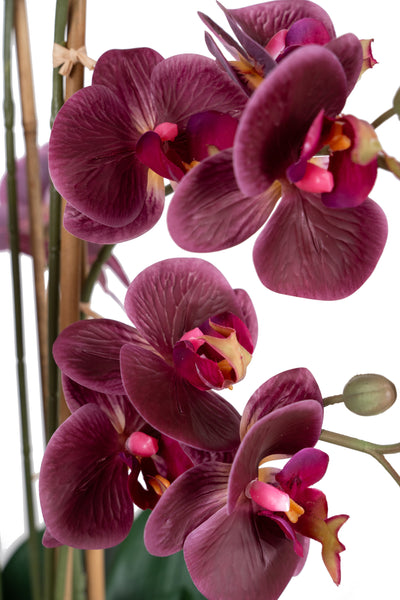 Orhidee artificiala grena cu aspect natural H71 cm cu 9 tulpini