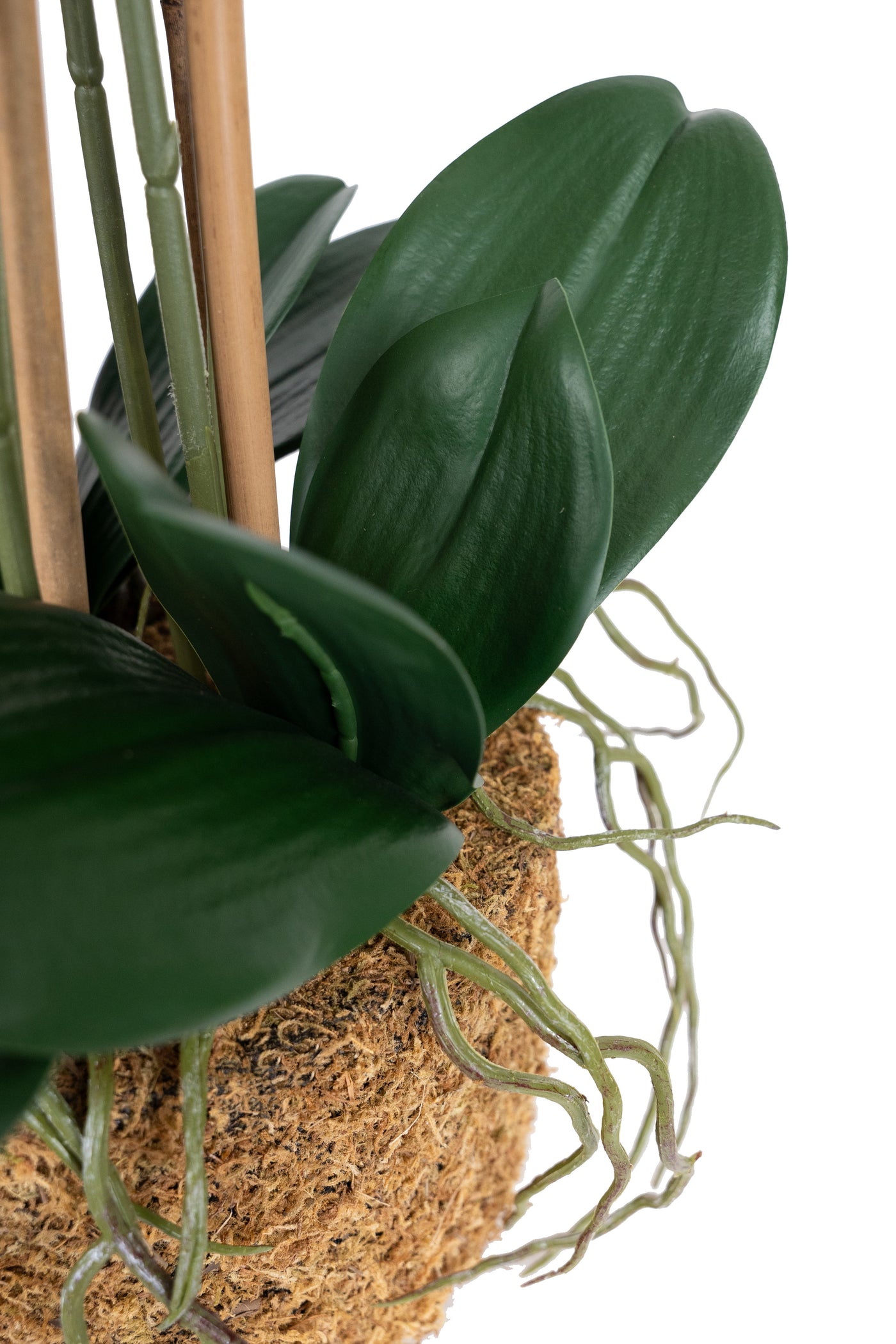 Orhidee artificiala grena cu aspect natural H71 cm cu 9 tulpini