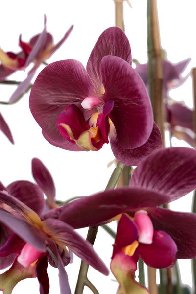 Orhidee artificiala grena cu aspect natural H71 cm cu 9 tulpini