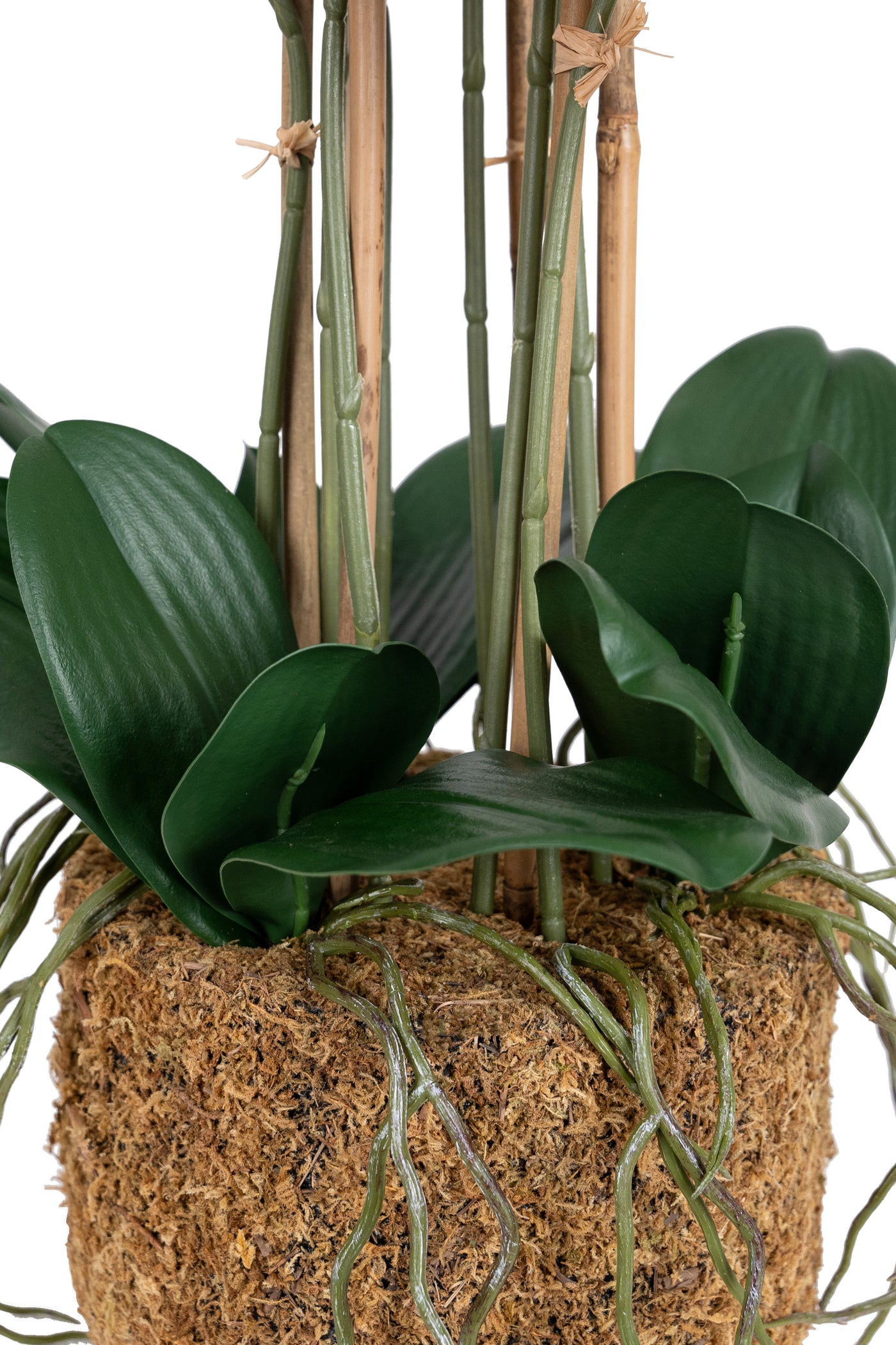 Orhidee artificiala grena cu aspect natural H71 cm cu 9 tulpini