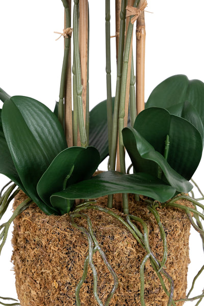 Orhidee artificiala grena cu aspect natural H71 cm cu 9 tulpini