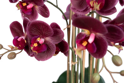 Orhidee artificiala grena cu aspect natural H71 cm cu 9 tulpini