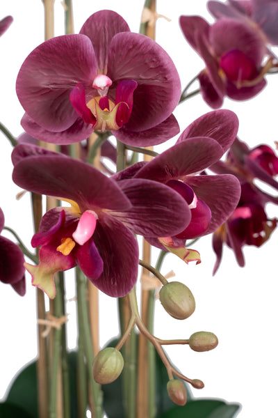 Orhidee artificiala grena cu aspect natural H71 cm cu 9 tulpini