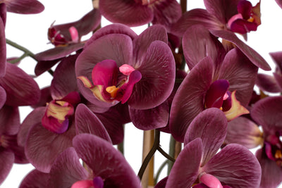 Orhidee artificiala grena cu aspect natural H85 cm cu 8 tulpini