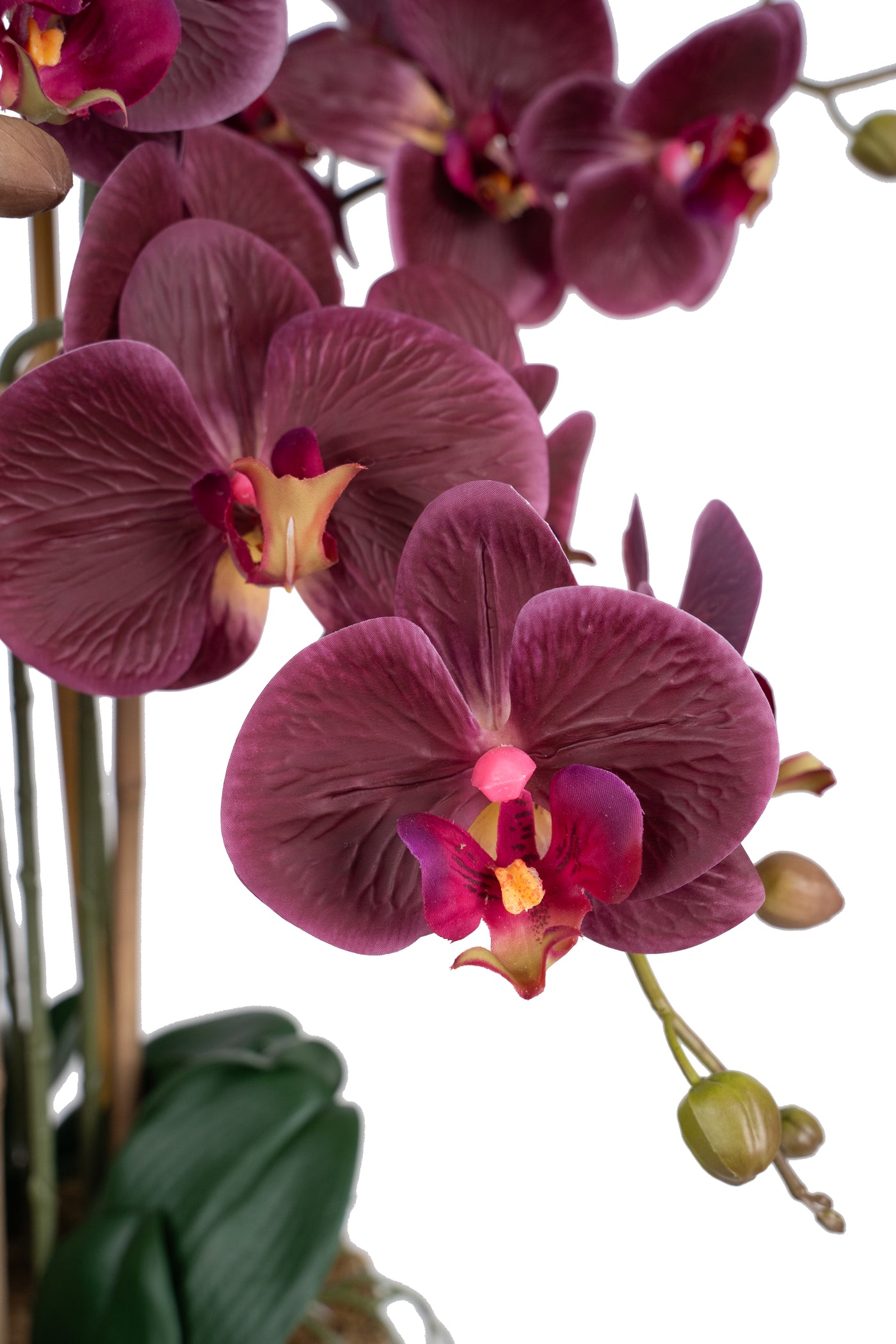 Orhidee artificiala grena cu aspect natural H85 cm cu 8 tulpini
