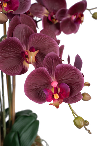 Orhidee artificiala grena cu aspect natural H85 cm cu 8 tulpini