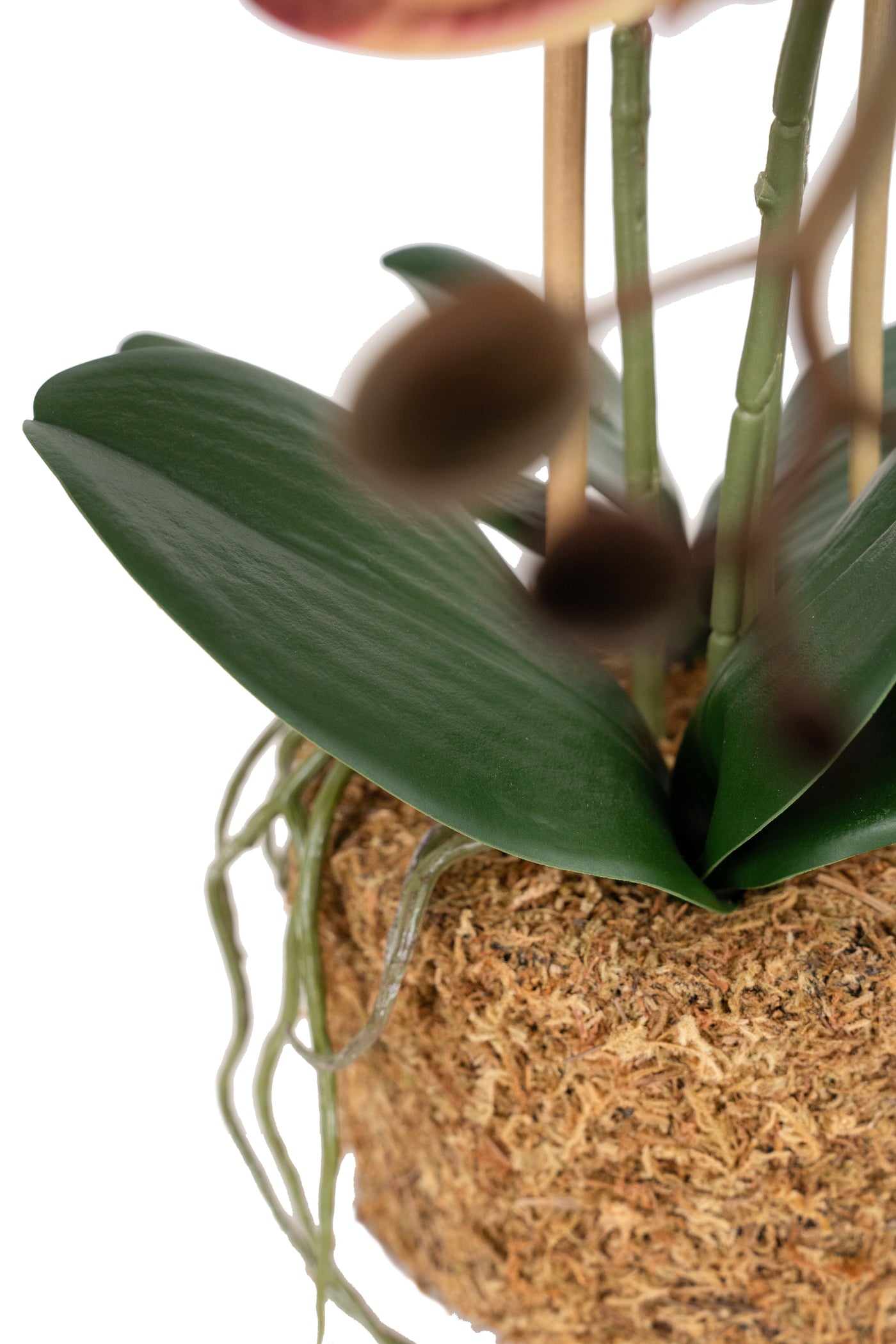 Orhidee artificiala grena cu galben cu aspect natural H49 cm cu 3 tulpini