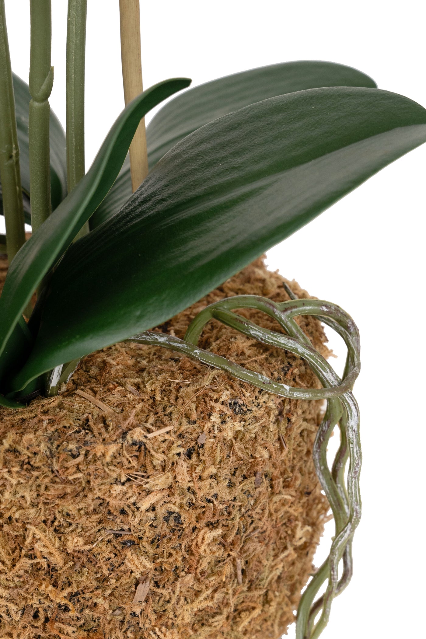 Orhidee artificiala grena cu galben cu aspect natural H49 cm cu 3 tulpini