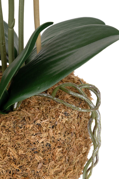 Orhidee artificiala grena cu galben cu aspect natural H49 cm cu 3 tulpini