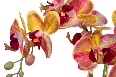 Orhidee artificiala grena cu galben cu aspect natural H49 cm cu 3 tulpini