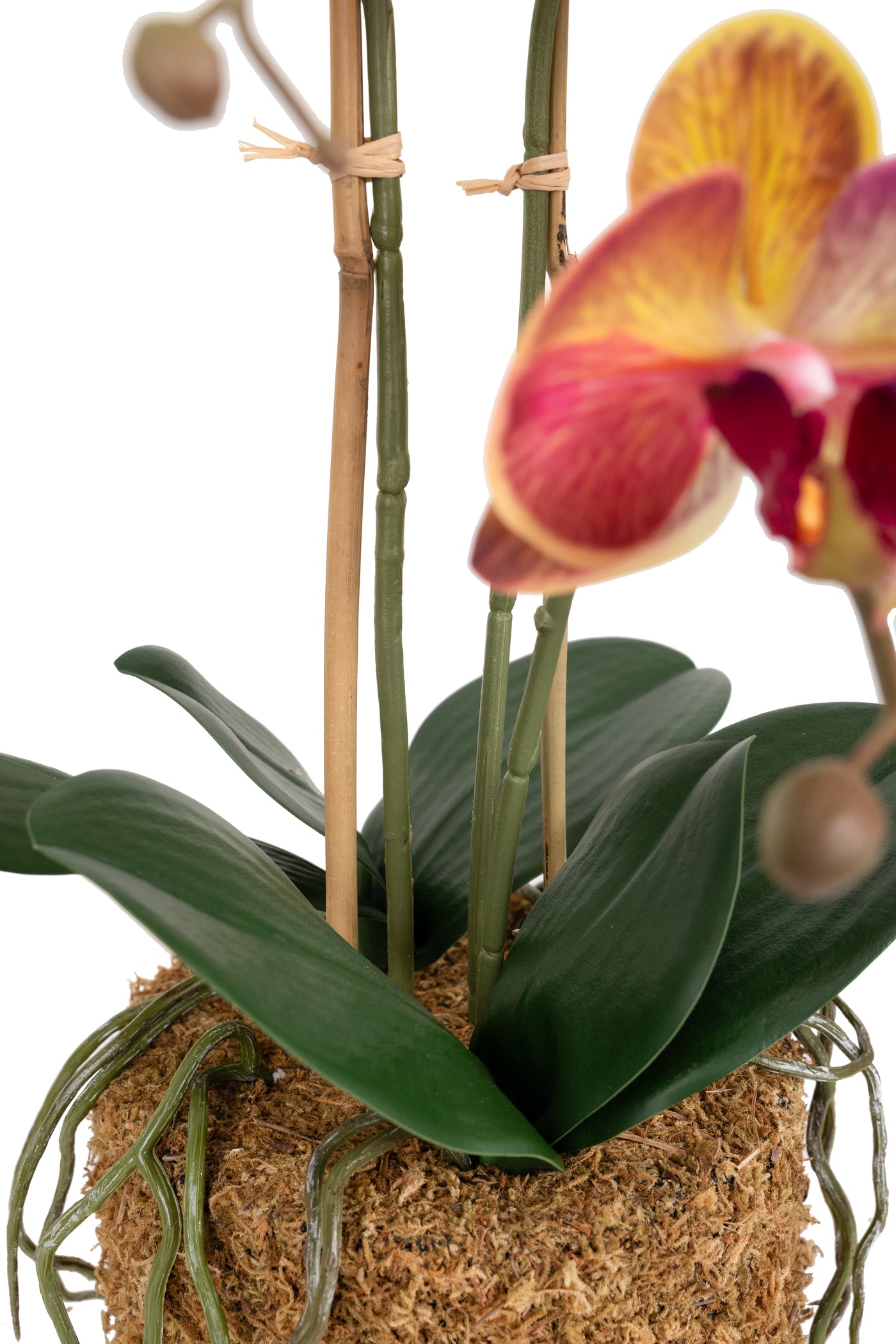 Orhidee artificiala grena cu galben cu aspect natural H49 cm cu 3 tulpini