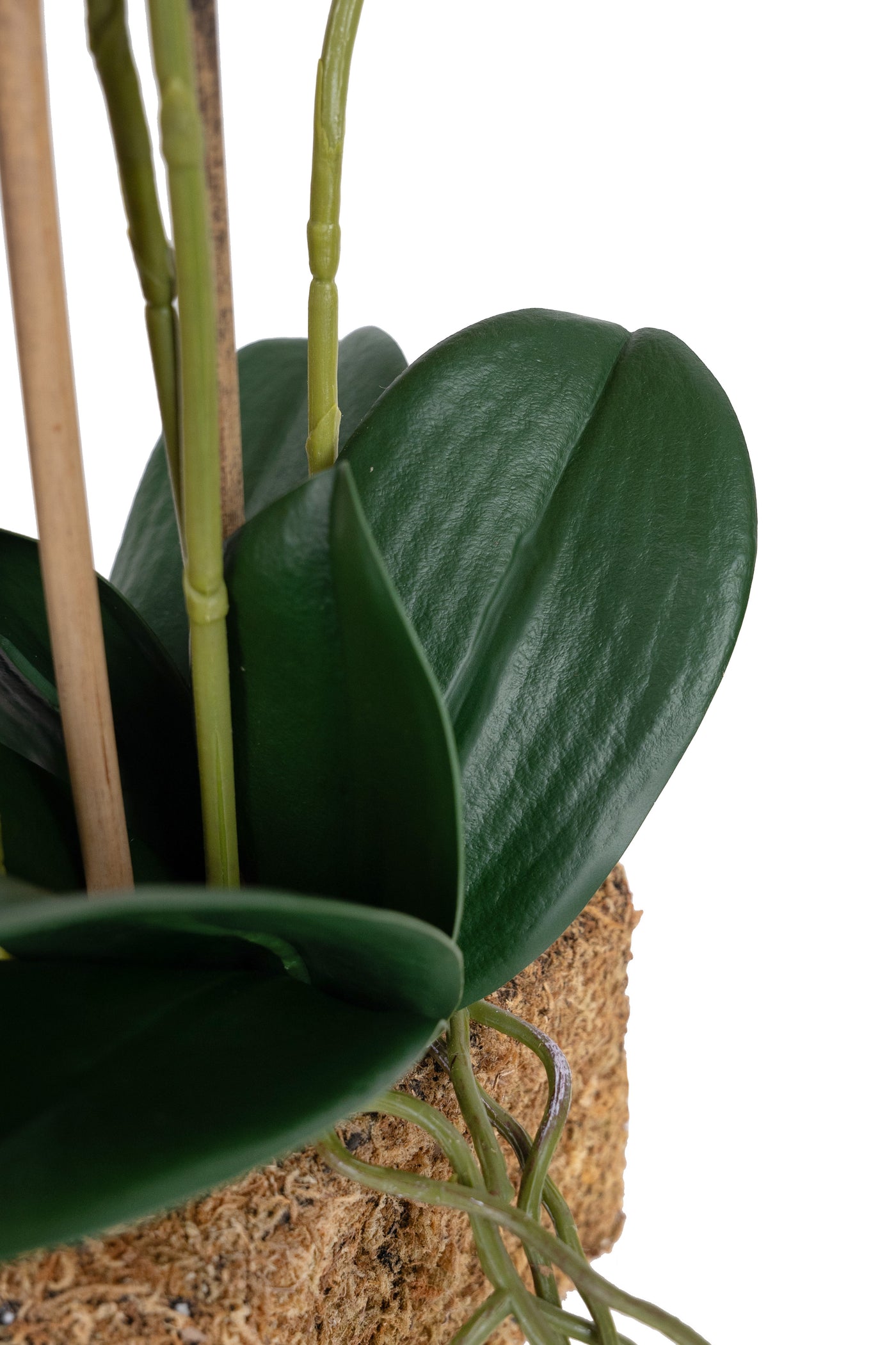 Orhidee artificiala grena cu galben cu aspect natural H55 cm cu 4 tulpini
