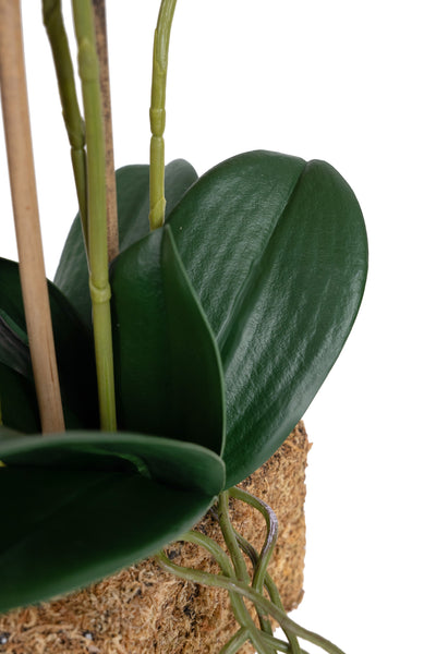 Orhidee artificiala grena cu galben cu aspect natural H55 cm cu 4 tulpini