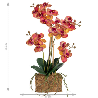Orhidee artificiala grena cu galben cu aspect natural H55 cm cu 4 tulpini