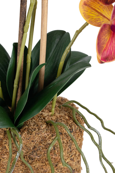 Orhidee artificiala grena cu galben cu aspect natural H55 cm cu 4 tulpini