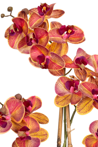 Orhidee artificiala grena cu galben cu aspect natural H55 cm cu 4 tulpini