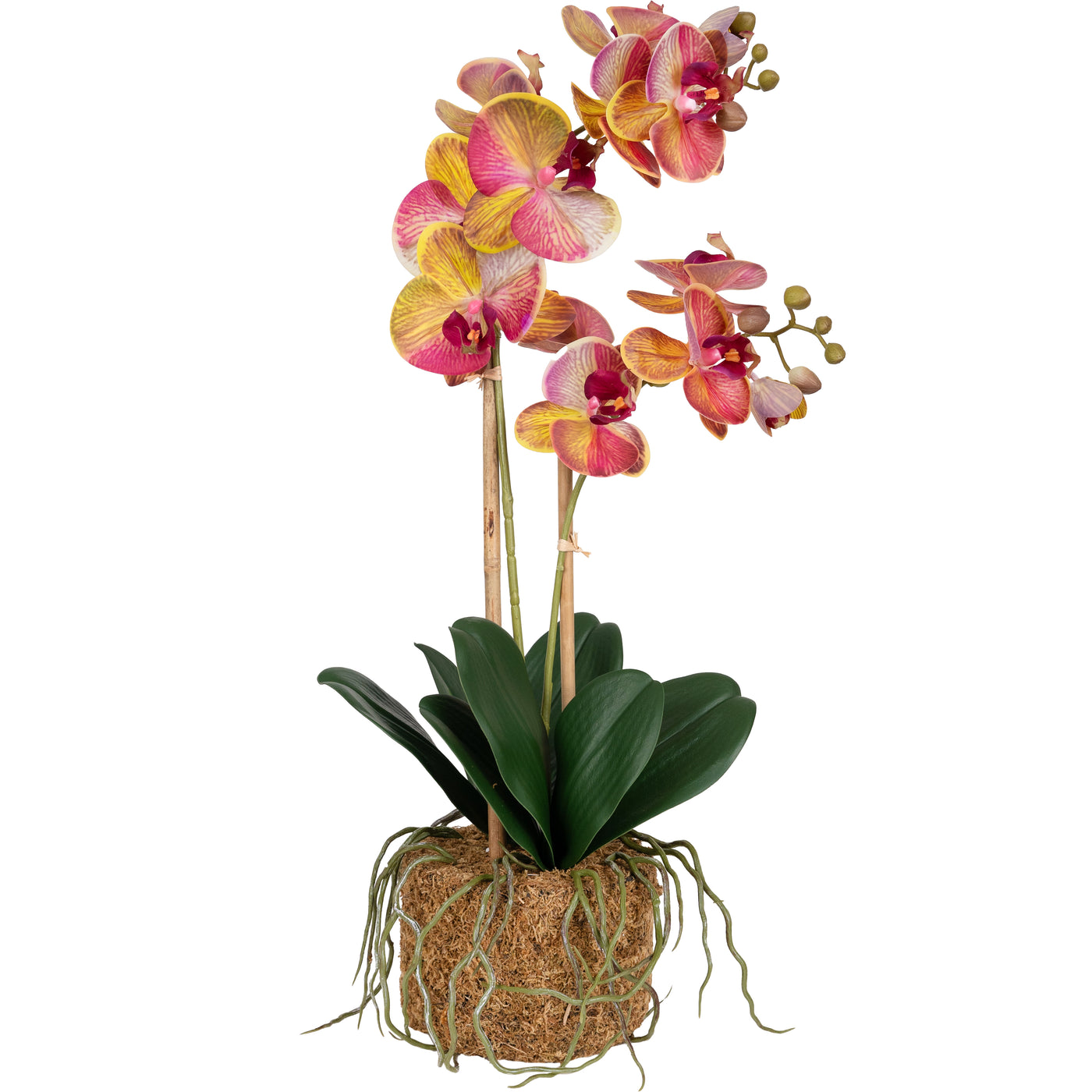 Orhidee artificiala grena cu galben cu aspect natural H56 cm cu 2 tulpini