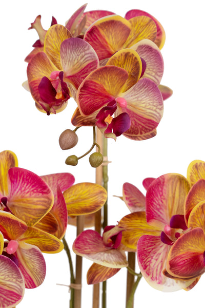 Orhidee artificiala grena cu galben cu aspect natural H61 cm cu 3 tulpini