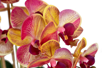 Orhidee artificiala grena cu galben cu aspect natural H61 cm cu 3 tulpini