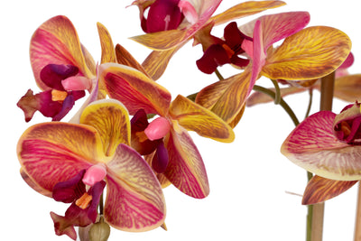 Orhidee artificiala grena cu galben cu aspect natural H61 cm cu 3 tulpini