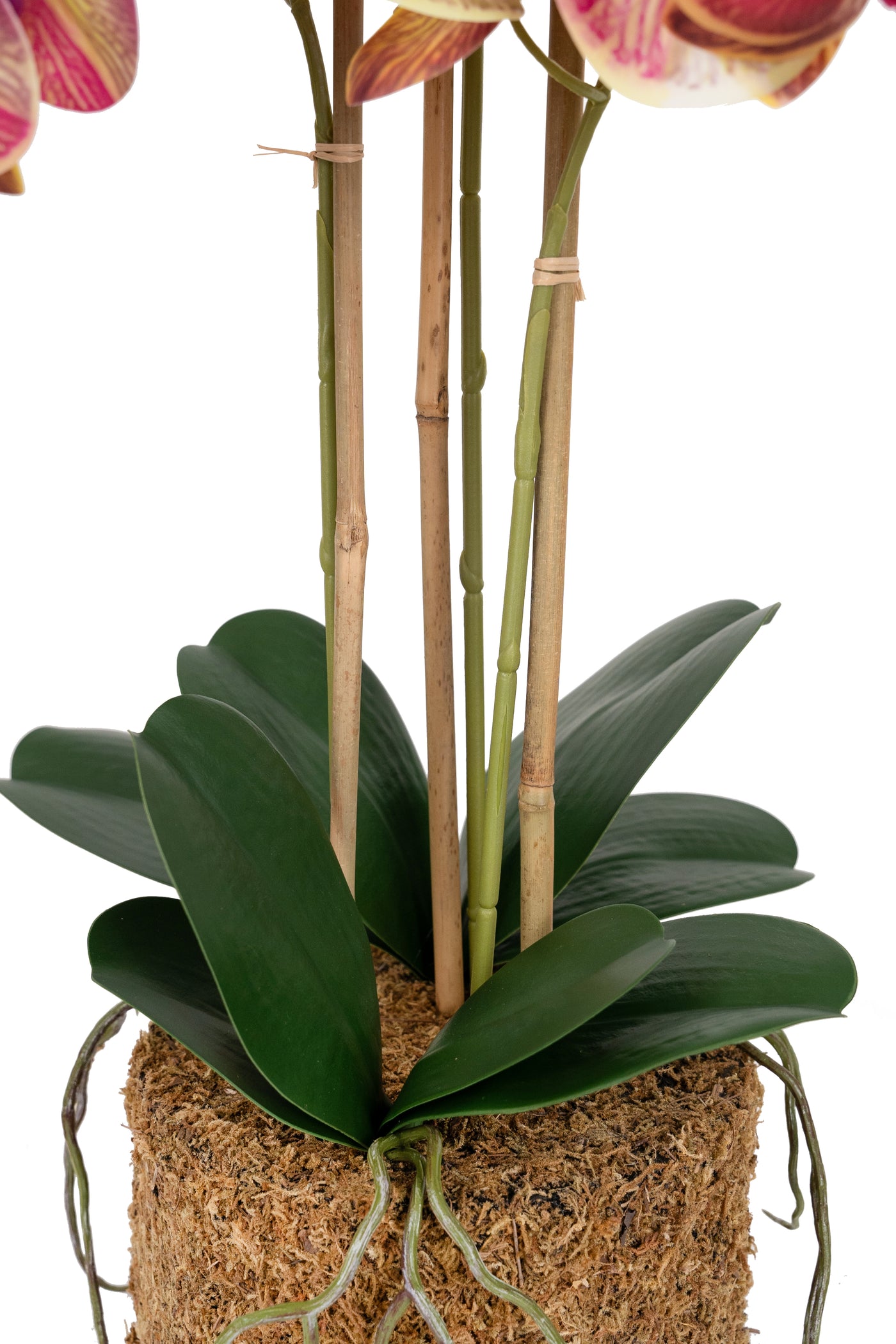 Orhidee artificiala grena cu galben cu aspect natural H61 cm cu 3 tulpini