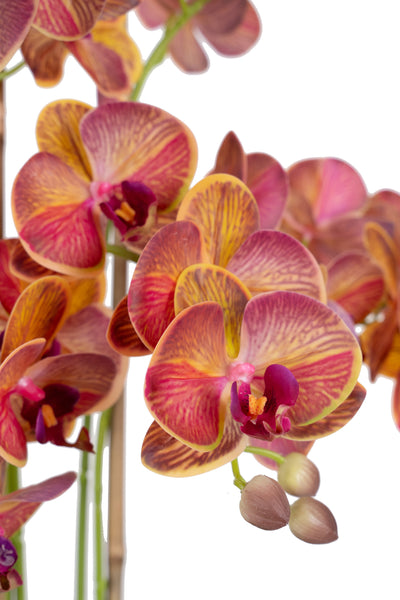 Orhidee artificiala grena cu galben cu aspect natural H69 cm cu 5 tulpini