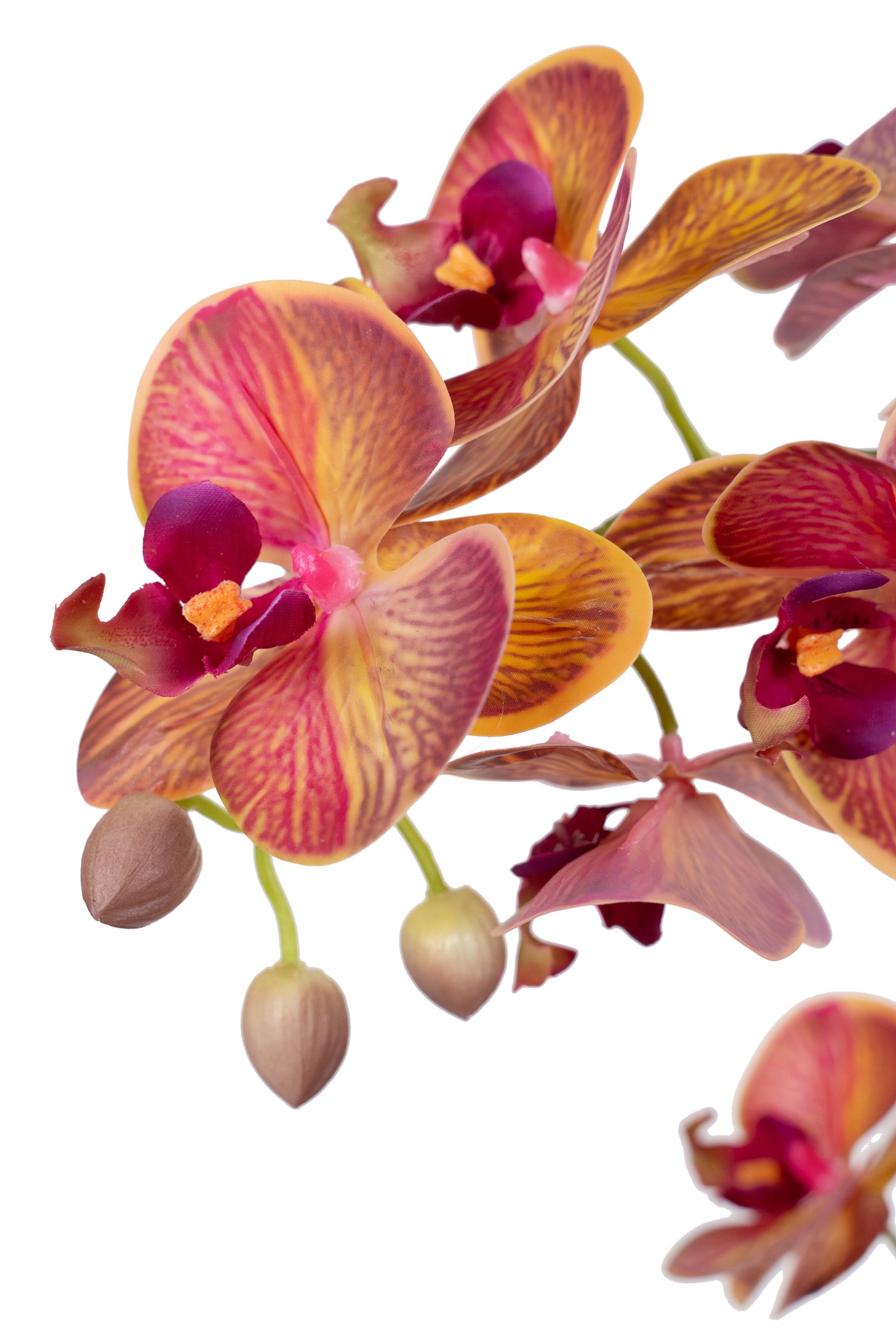 Orhidee artificiala grena cu galben cu aspect natural H69 cm cu 5 tulpini