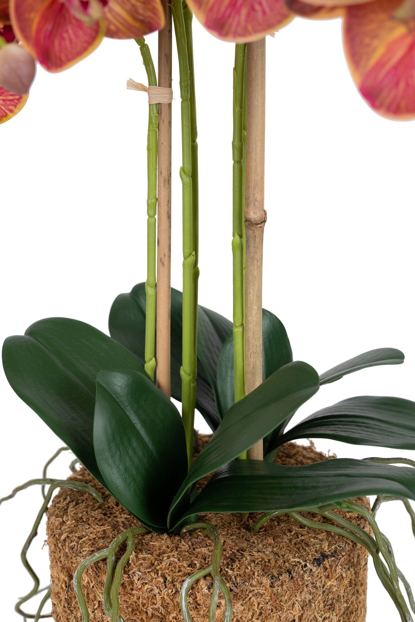 Orhidee artificiala grena cu galben cu aspect natural H69 cm cu 5 tulpini