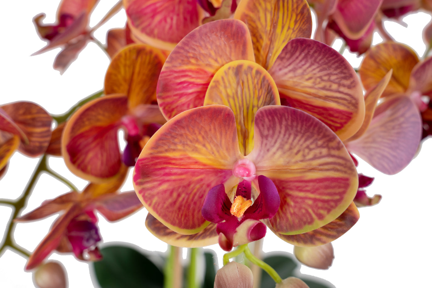 Orhidee artificiala grena cu galben cu aspect natural H69 cm cu 5 tulpini