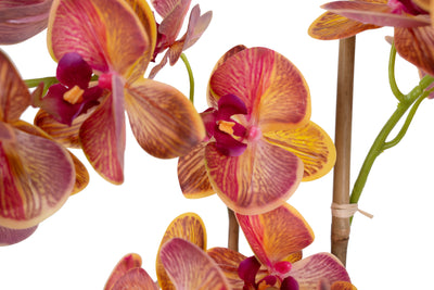 Orhidee artificiala grena cu galben cu aspect natural H69 cm cu 5 tulpini